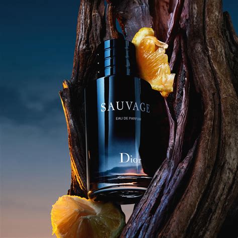 échantillon dior sauvage|Sauvage Eau de parfum : parfum hespéridé vanillé .